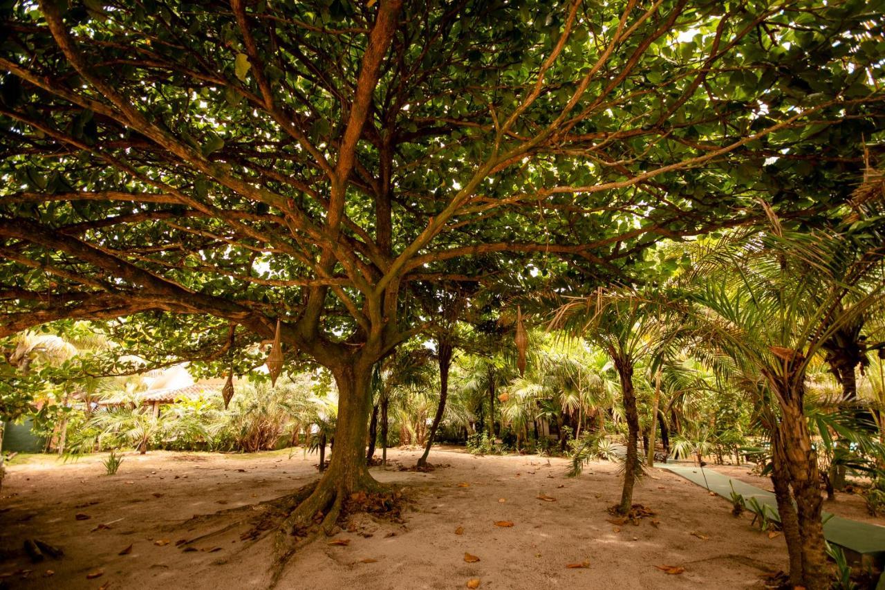 Na Villa Dos Algodoes Marau  Esterno foto